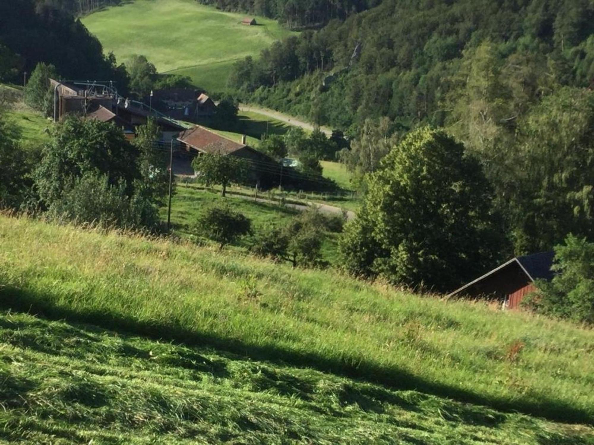 Ferienwohnung Hof Unterer Duerrenberg Langenbruck מראה חיצוני תמונה